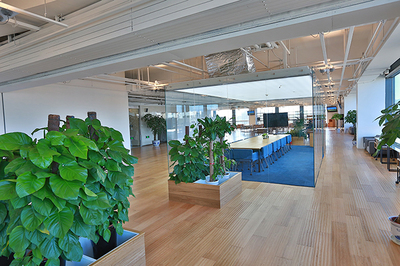 辦公室裝修設計從綠色環保開始_裝修知識_北京天元世紀裝飾工程設計有限公司